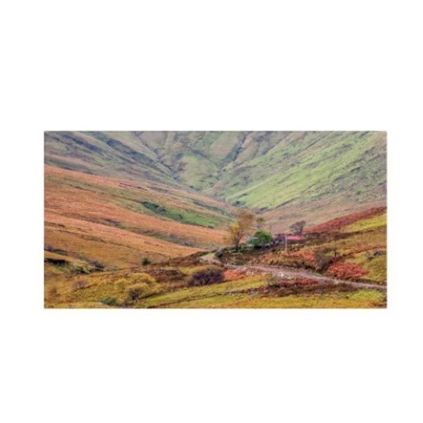 Pierre Leclerc 'Ireland Autumn Cottage' Canvas Art, 12x24, Trademark Fine Art, Mfr#: PL0123-C1224GG